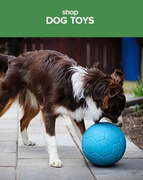 Dog Toys